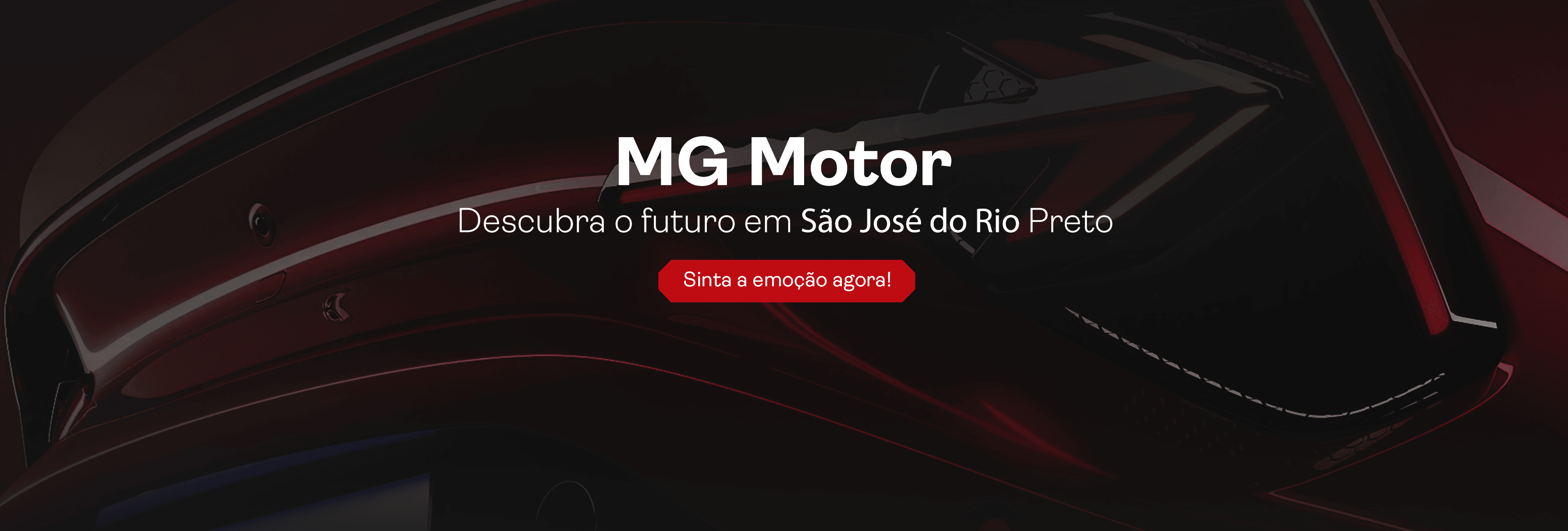 MG Motor São José do Rio Preto